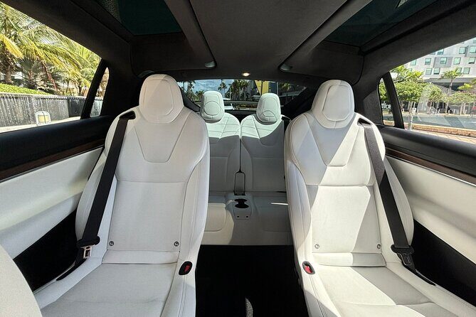 Puerto Rico Island Wide Transfer, Tesla Model X Luxury SUV. - Who Should Consider This Service?