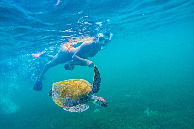 Puerto Rico Jet Snorkel with Turtles and Videos in San Juan - The Experience in Detail: What to Expect