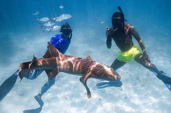 Puerto Rico Private Half Day Shark Diving - FAQ