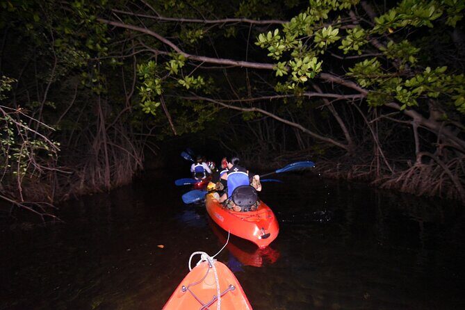 Puerto Rico Sunset Magic: Bio Bay Kayaking Tour from Fajardo - Frequently Asked Questions