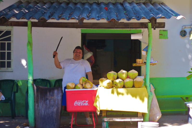 Puerto Vallarta 3-Hour Food Tour of Authentic Local Cuisine - Key Points
