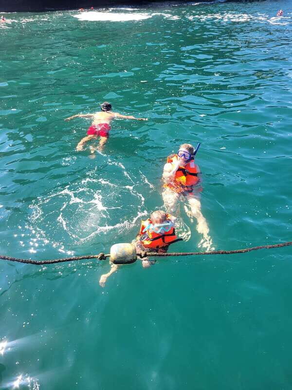 Puerto Vallarta: 3-Hour Whale Watching and Snorkeling - Practical Tips for Your Trip