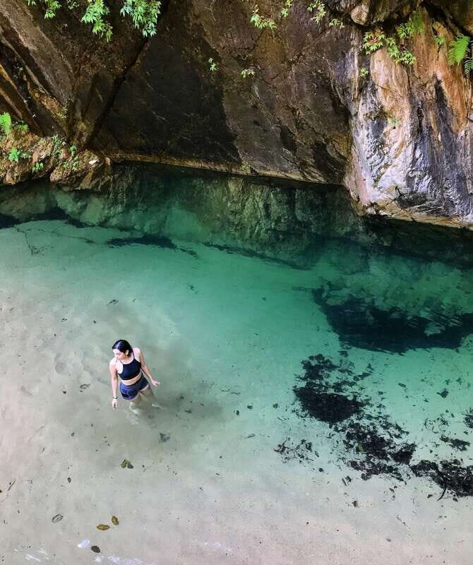 Puerto Vallarta: 4-Hour Jungle Hike and Waterfall Swim - A Deep Dive into the Jungle Adventure