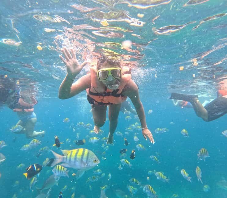 Puerto Vallarta: All-inclusive cruise-ship passenger snorkeling beach and waterfall - The Sum Up