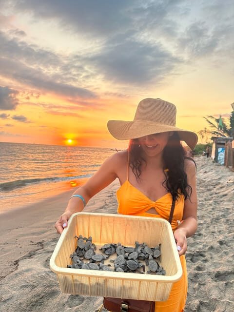 Puerto Vallarta: Baby Turtle Release in Conservation Area - Potential Drawbacks and Considerations