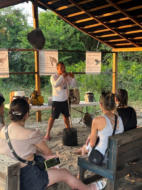Puerto Vallarta: Baby Turtle Release in Conservation Area - Final Reflection: An Authentic Encounter with Nature