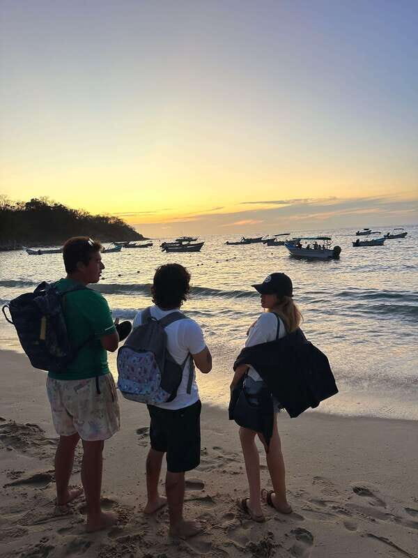 Puerto Vallarta: Bioluminescence in Los Arcos Marine Park - Key Points
