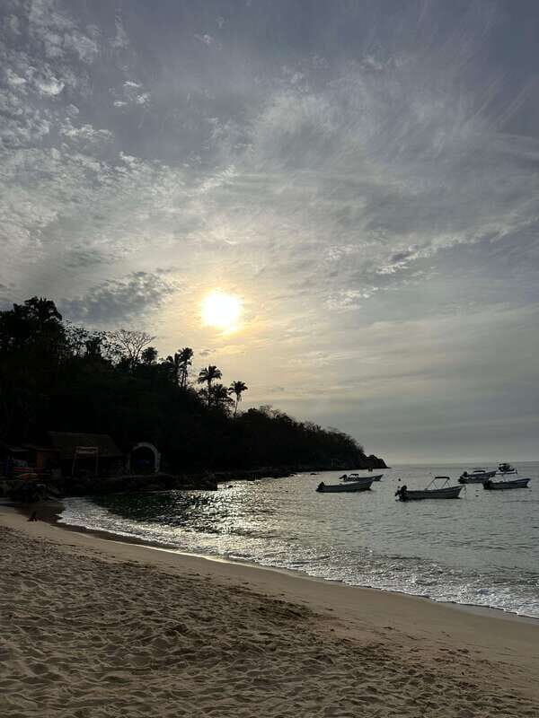 Puerto Vallarta: Bioluminescence in Los Arcos Marine Park - Authentic Traveler Insights