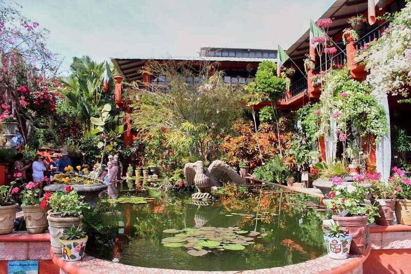 Puerto Vallarta: Botanical Gardens, Distillery & Coffee Tour - The Sum Up: The Value of This Experience
