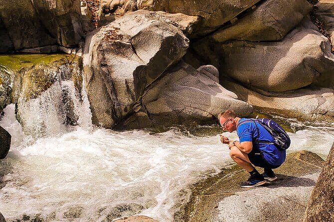 Puerto Vallarta Botanical Gardens Hiking Tour - The Sum Up: Why Choose This Tour?