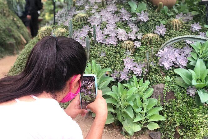 Puerto Vallarta Botanical Gardens Hiking Tour - FAQ: Frequently Asked Questions