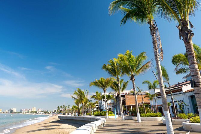 Puerto Vallarta City Tour - FAQs
