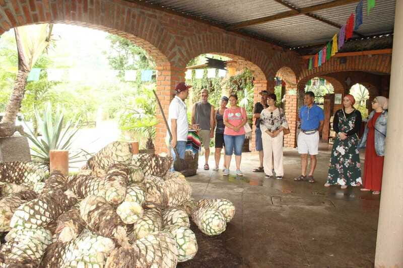 Puerto Vallarta: City Tour, Tequila and Coffee Factory Tour - Who Should Consider This Tour?
