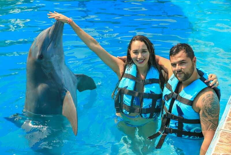 Puerto Vallarta: Dolphin Swimming and Aquaventuras Park - FAQ