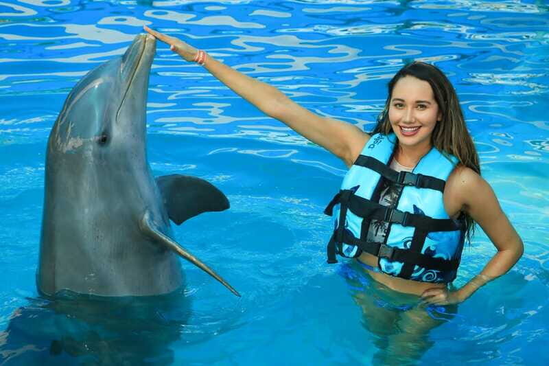 Puerto Vallarta: Dolphin Swimming and Aquaventuras Park - Final Thoughts
