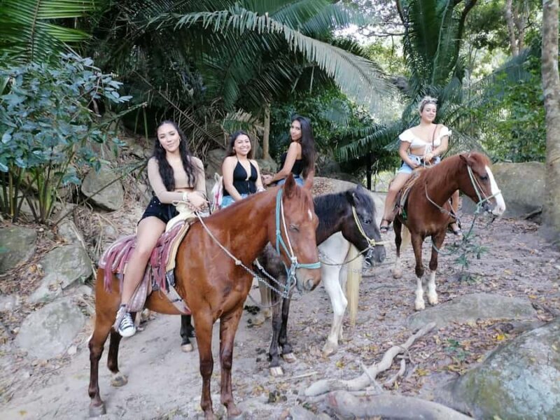Puerto Vallarta: El Eden Horseback Riding - Key Points