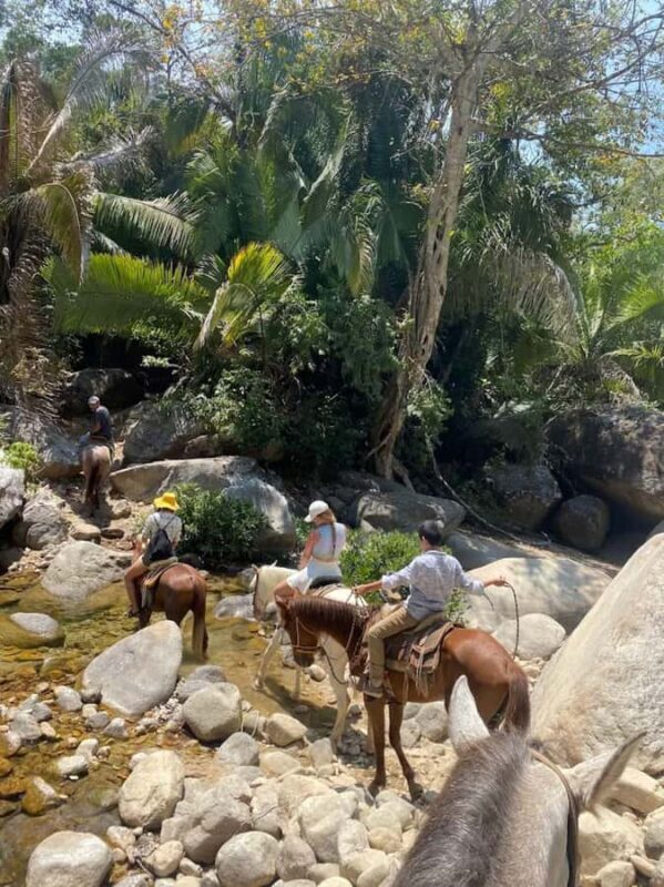 Puerto Vallarta: El Eden Horseback Riding - A Closer Look at the El Eden Horseback Riding Tour