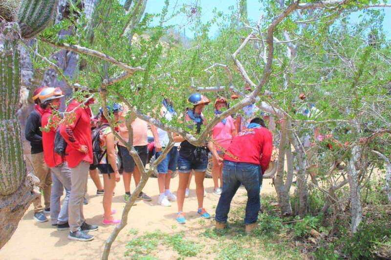 Puerto Vallarta: El Eden Horseback Riding - FAQ