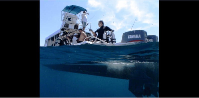 Puerto Vallarta: Exploring Majahuitas Underwater - The Itinerary: What to Expect from Start to Finish