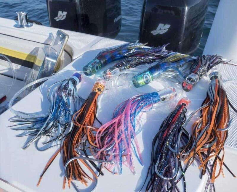 Puerto Vallarta: Fishing Pami I 27 - Key Points