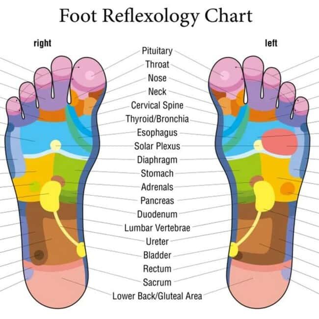 Puerto Vallarta: Foot Reflexology and Tired Legs Massage - An In-Depth Look at the Experience