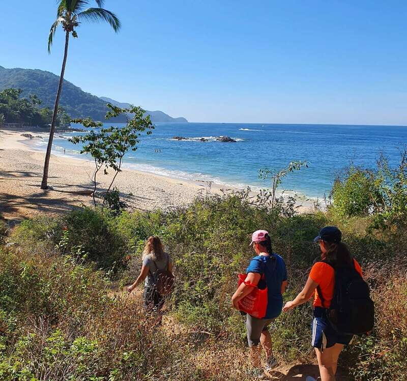 Puerto Vallarta: Full Day Hike to 6 Hidden Beaches & Snorkel - Final Thoughts: Who Will Love This Trip?