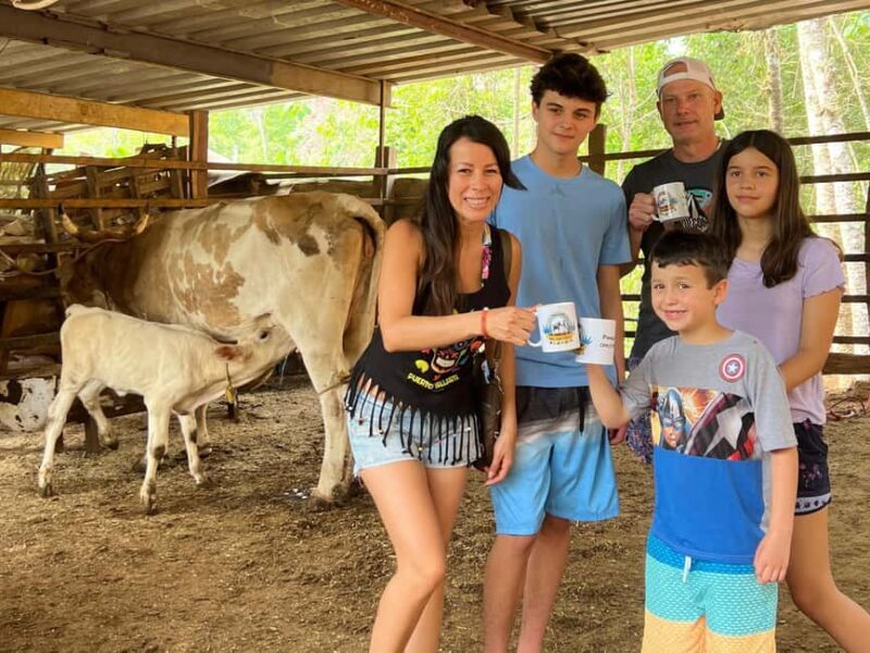 Puerto Vallarta: Hands-on Farm Experience from Cow to Cheese - Who Will Love This Tour?