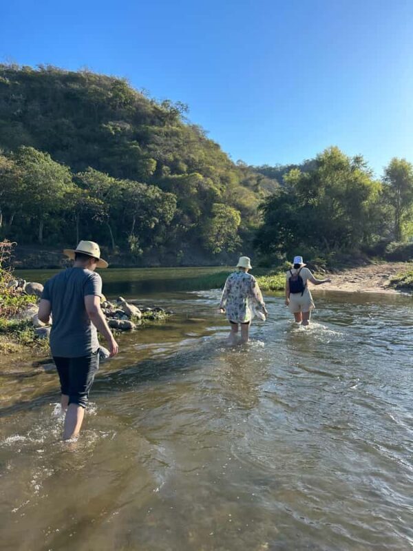 Puerto Vallarta: Hiking to Secret Mountain Hot Springs - Who Should Consider This Tour?
