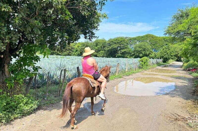 Puerto Vallarta: Horseback Riding at Hacienda Doña Engracia - Frequently Asked Questions