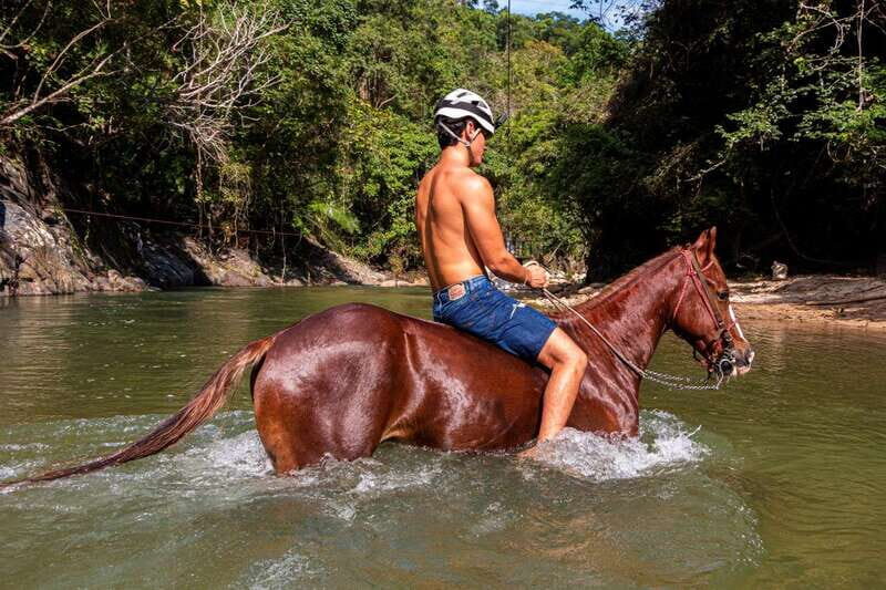 Puerto Vallarta Horseback Riding - Who Should Consider This Tour?