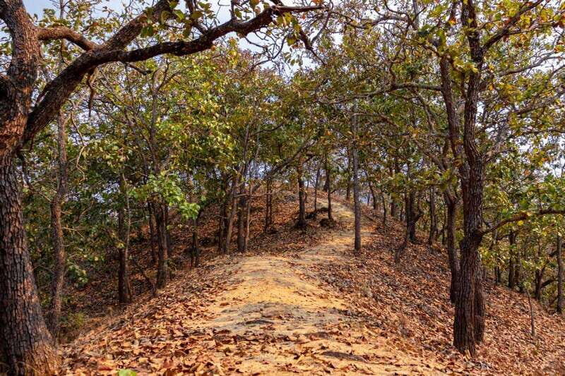 Puerto Vallarta: Jorullo Paradise Hiking Adventure - The Experience: Pros, Cons, and Practical Tips