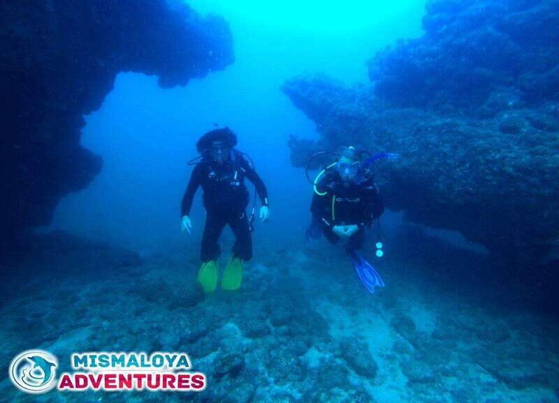 Puerto Vallarta: Los Arcos de Mismaloya, diving for beginners. - Who Will Love This Experience