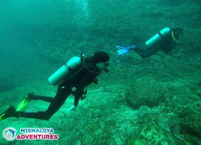 Puerto Vallarta: Los Arcos de Mismaloya, diving for beginners. - Frequently Asked Questions
