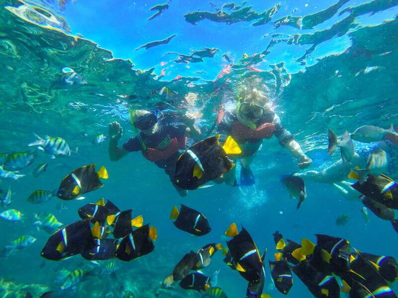 Puerto Vallarta: Luxury Day Sailing Tour of Bay of Banderas - Key Points