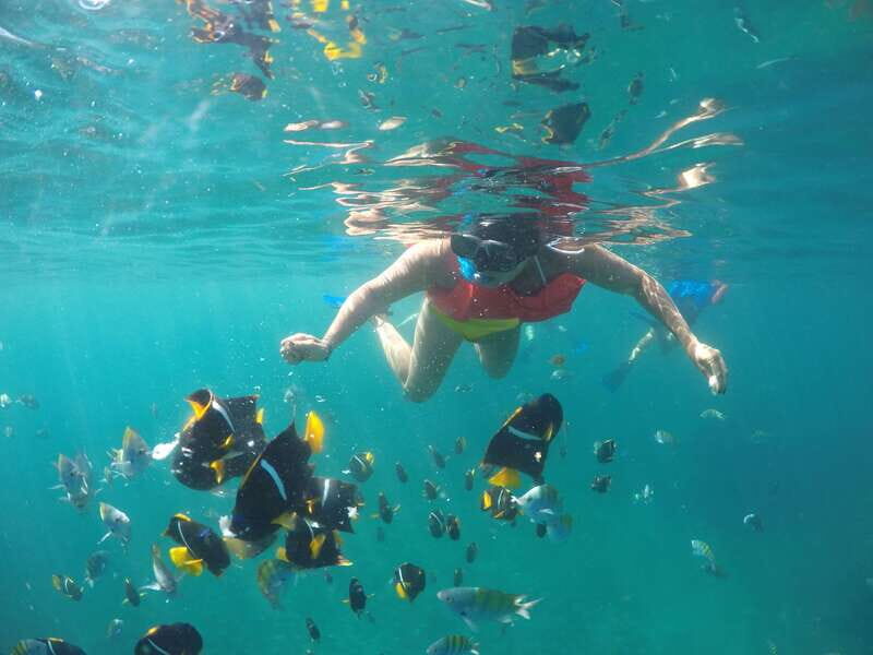 Puerto Vallarta: Luxury Yacht Tour with Lunch and Open Bar - Who Should Consider This Tour?