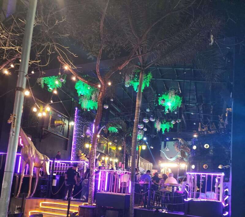 Puerto Vallarta: Malecon and Romantic Zone Nightlife Tour - Key Points