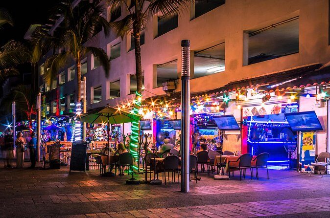 Puerto Vallarta Night Lights Private Tour - The Sum Up: Who Will Love This Experience?