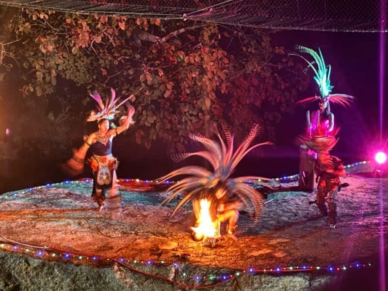 Puerto Vallarta: Night Zipline, Dinner, & Show with Pickup - Setting the Scene: What to Expect