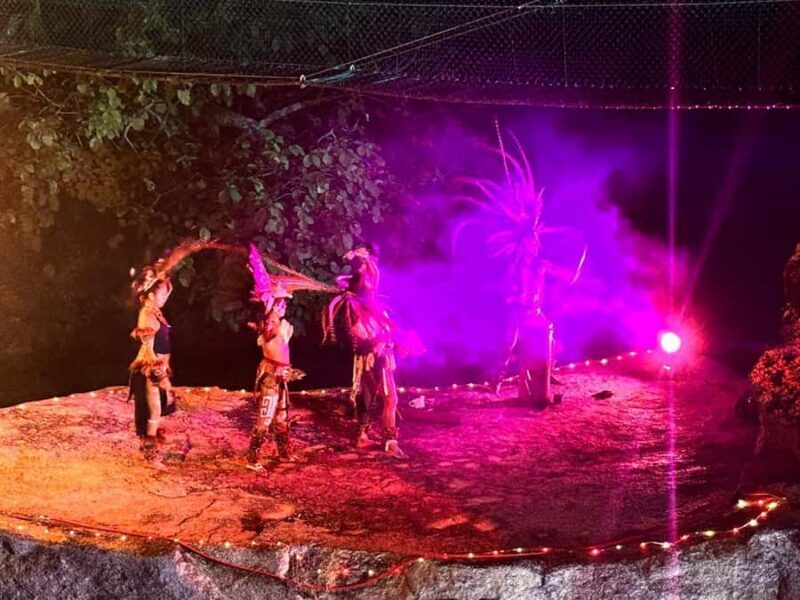 Puerto Vallarta: Night Zipline, Dinner, & Show with Pickup - A Deep Dive into the Experience