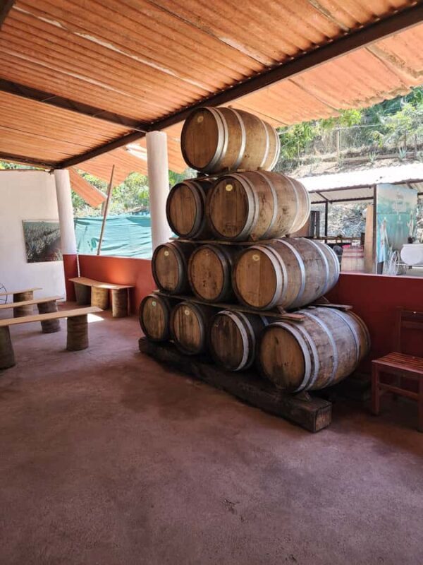 Puerto Vallarta: Oceanfront Lunch, Hike, Tequila & Beach Day - A Closer Look at the Itinerary