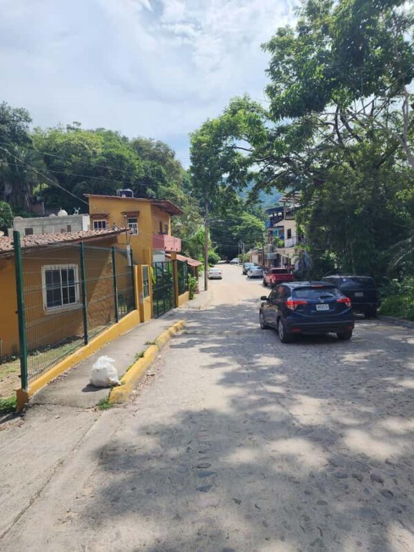 Puerto Vallarta: Oceanfront Lunch, Hike, Tequila & Beach Day - Who Will Love This Tour?