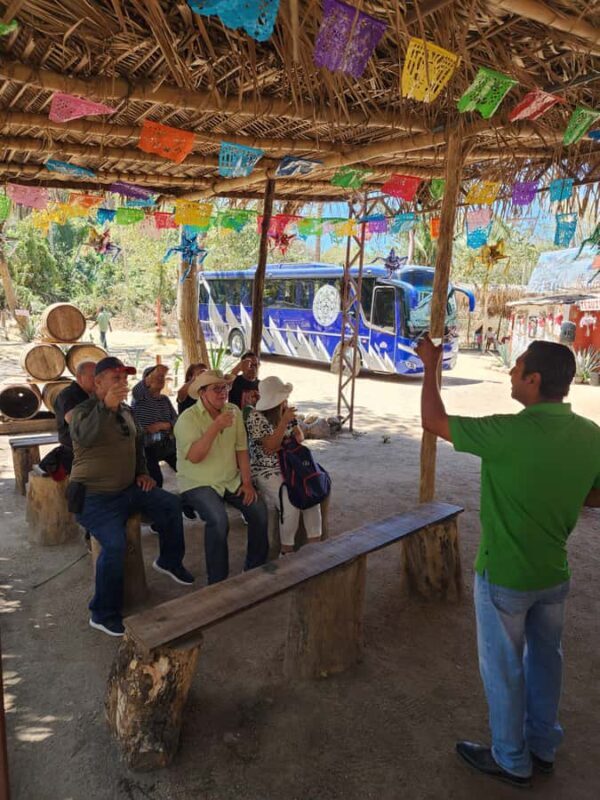 Puerto Vallarta: Oceanfront Lunch, Hike, Tequila & Beach Day - The Sum Up: Is It Worth It?