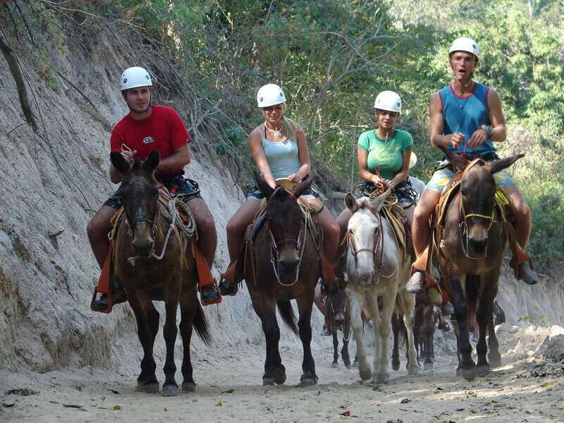 Puerto Vallarta: Outdoor Ziplines and Rappel Adventure - What’s Included and What’s Not