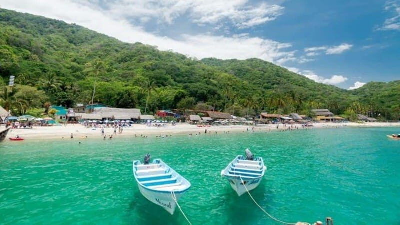Puerto Vallarta: Predator Catamaran Adventure - Key Points