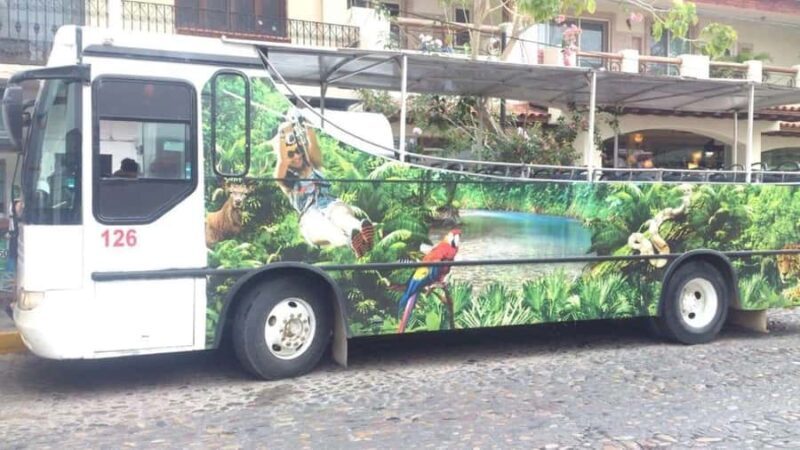 Puerto Vallarta: Predator Zipline & Jungle Adventure - Key Points