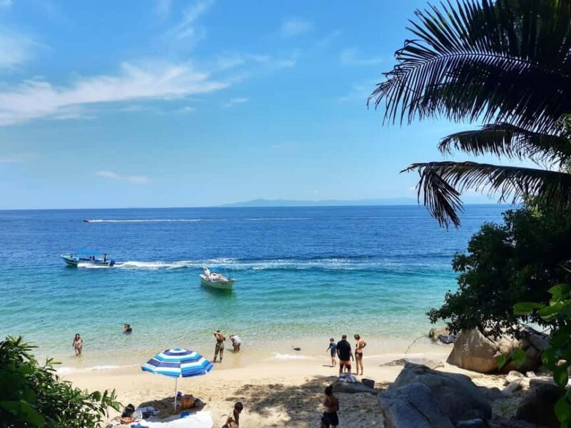 Puerto Vallarta: Private Colomitos & Madagascar Beaches Tour - Exploring Puerto Vallarta: Private Colomitos & Madagascar Beaches Tour