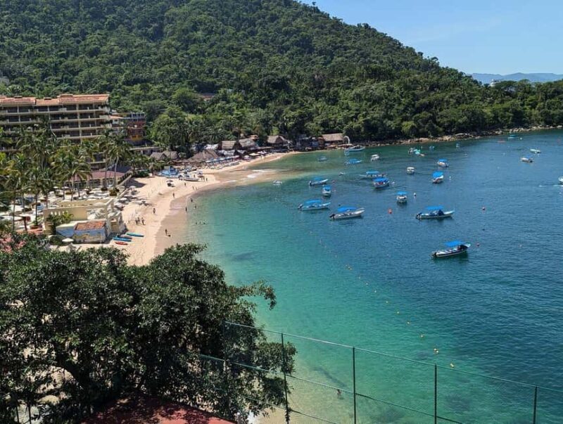 Puerto Vallarta: Private Colomitos & Madagascar Beaches Tour - Who Will Appreciate This Tour?
