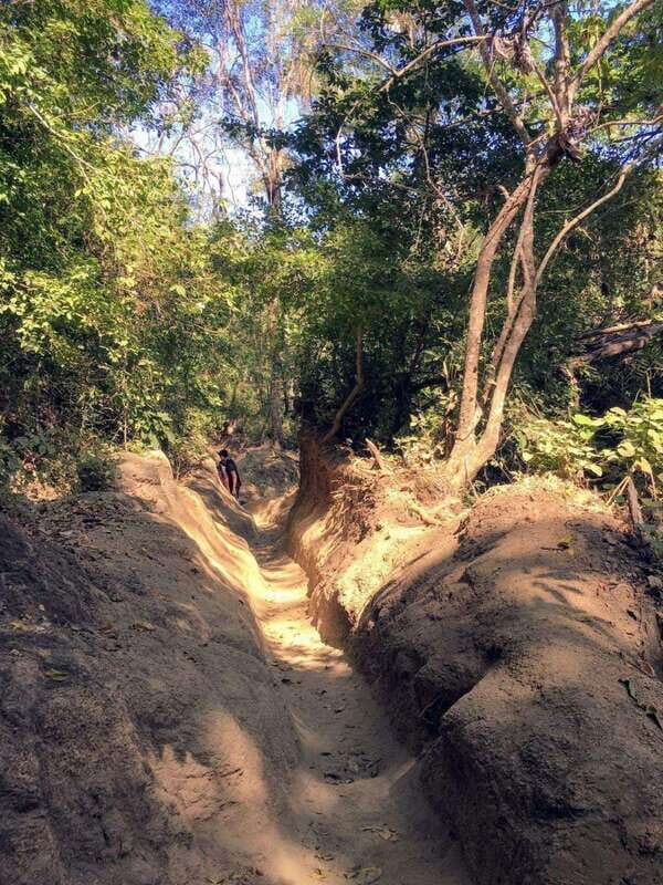 Puerto Vallarta: Private Tour Hiking Quimixto Waterfall - A Detailed Look at the Quimixto Waterfall Private Tour