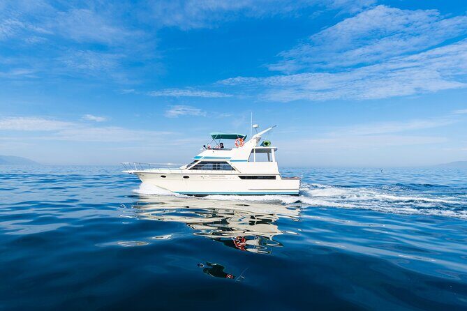 Puerto Vallarta Private Yacht: Half Day Tour (4h) - Key Points
