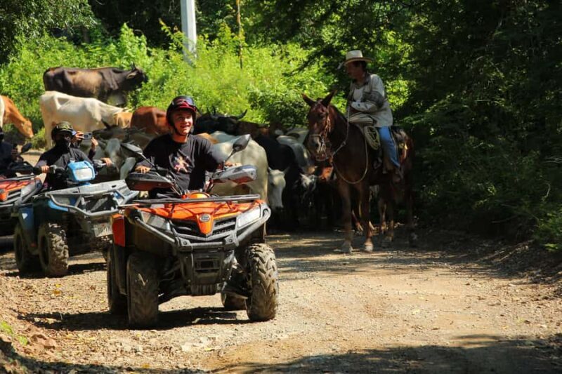 Puerto Vallarta: Río Cuale & Sierra Madre ATV Tour & Tequila - Who Will Love This Tour?